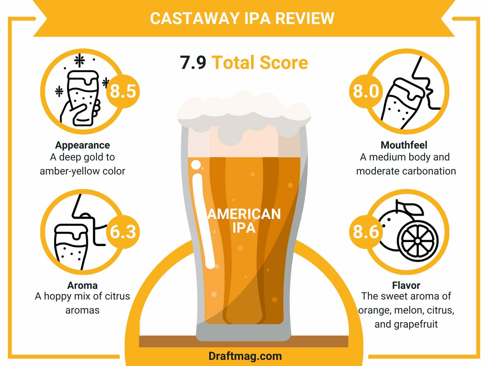 Castaway ipa review infographics