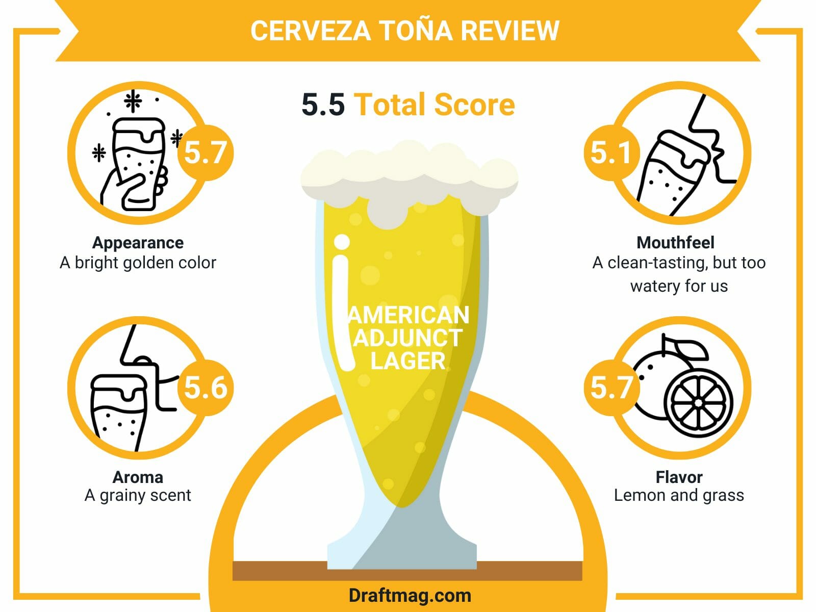 Cerveza tona review infographic