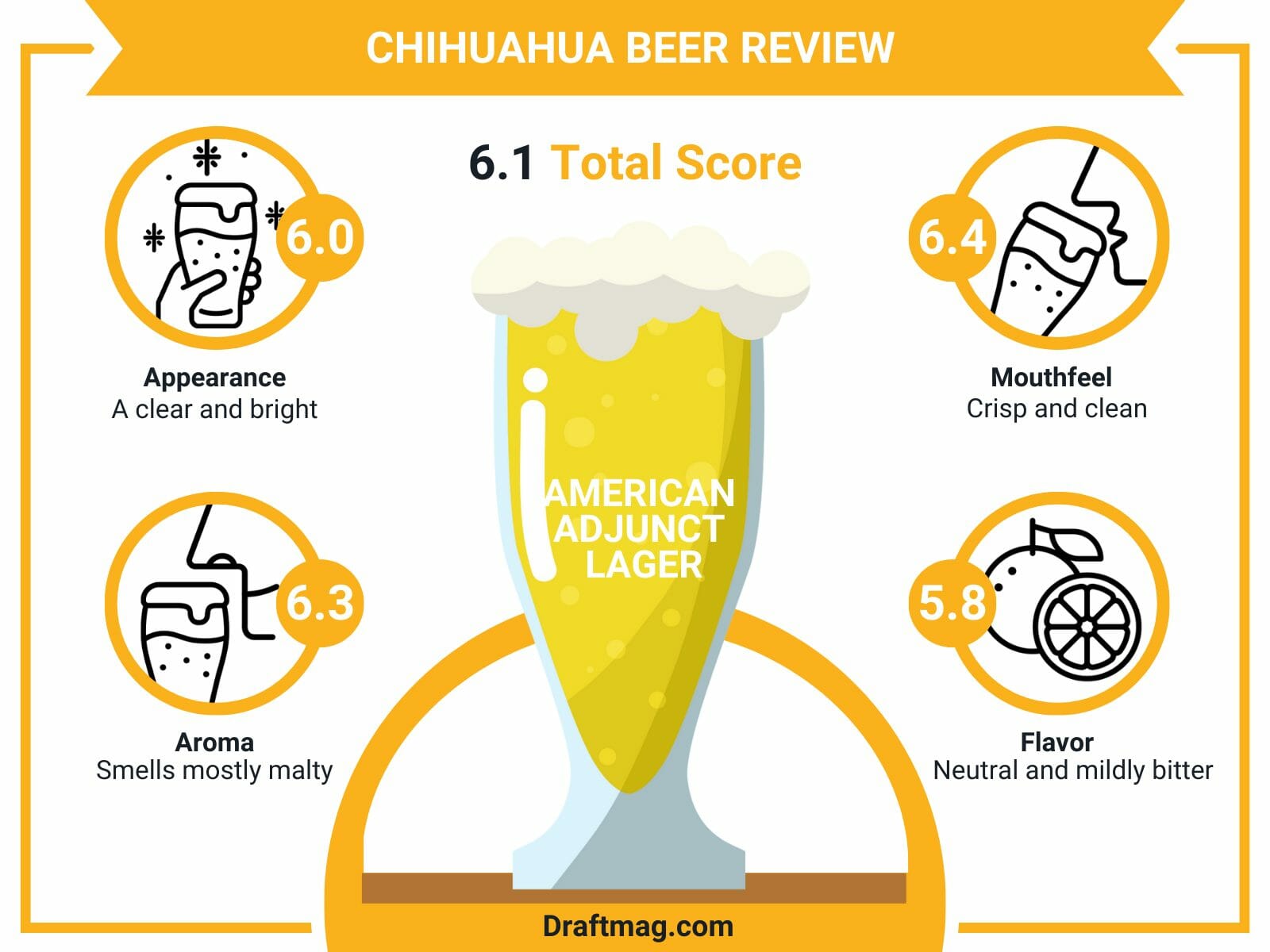 Chihuahua beer review infographic