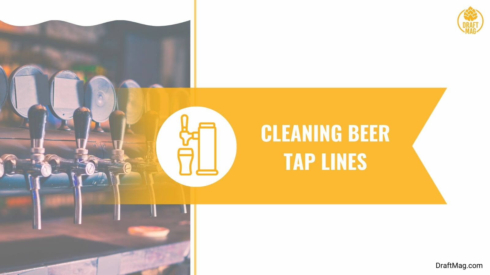Cleaning beer tap lines