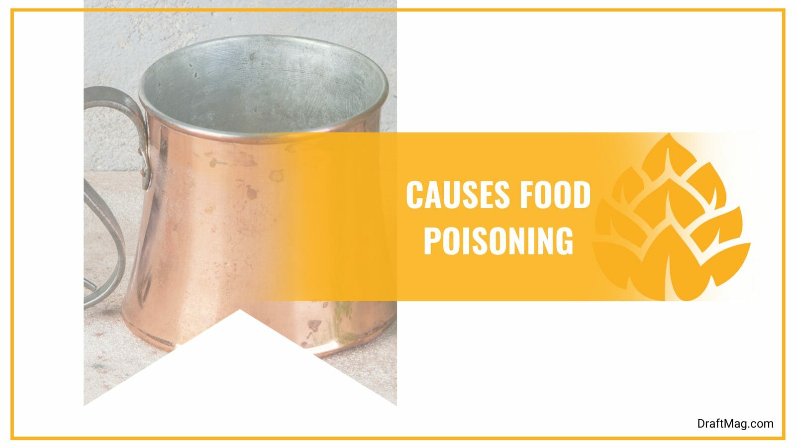 Copper mugs causes food poisoning