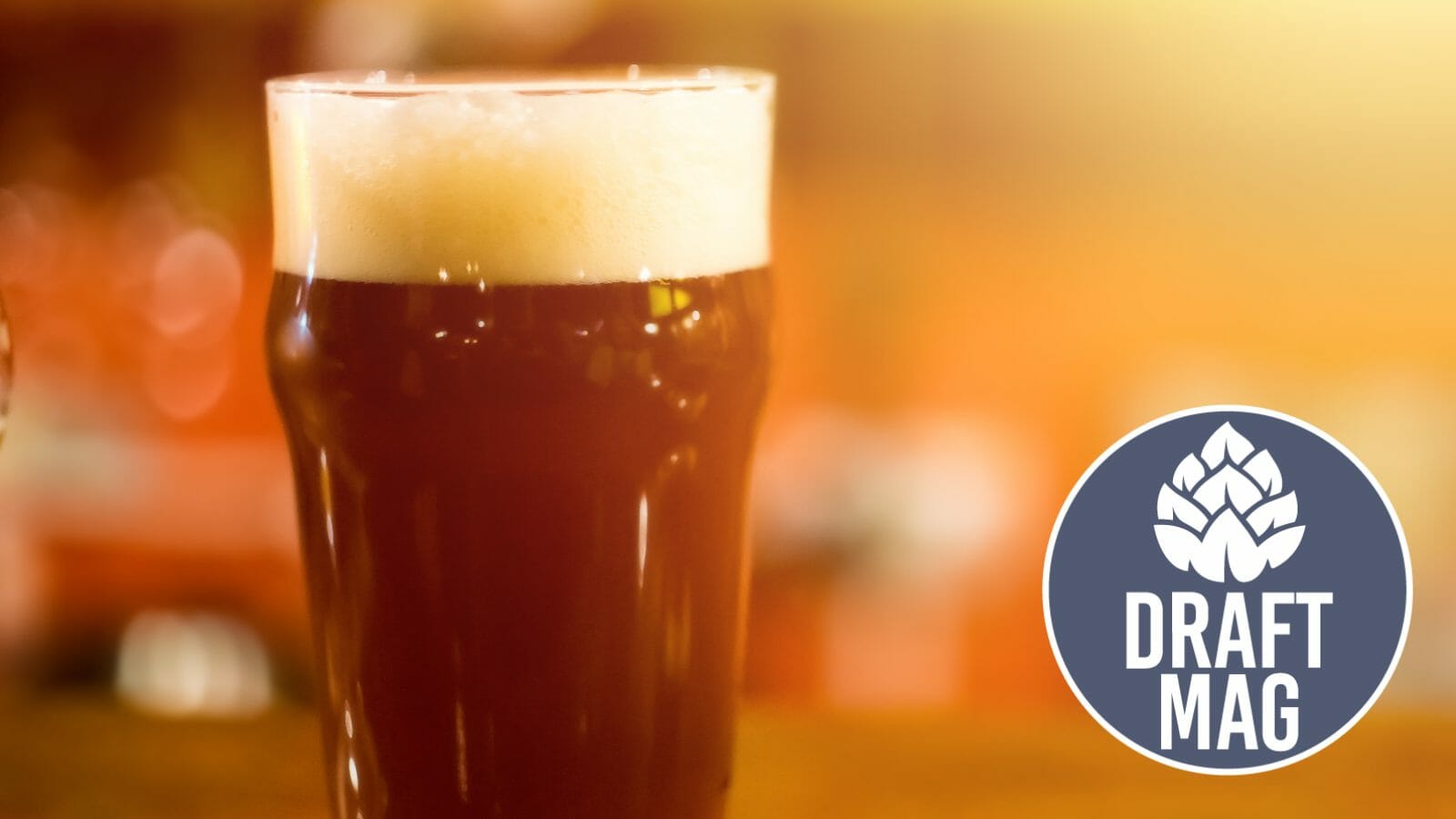 Daura Damm Review: Try This Expert-Recommended Spanish Beer