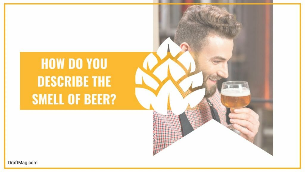 what-does-beer-smell-like-a-guide-to-the-most-common-beer-aromas