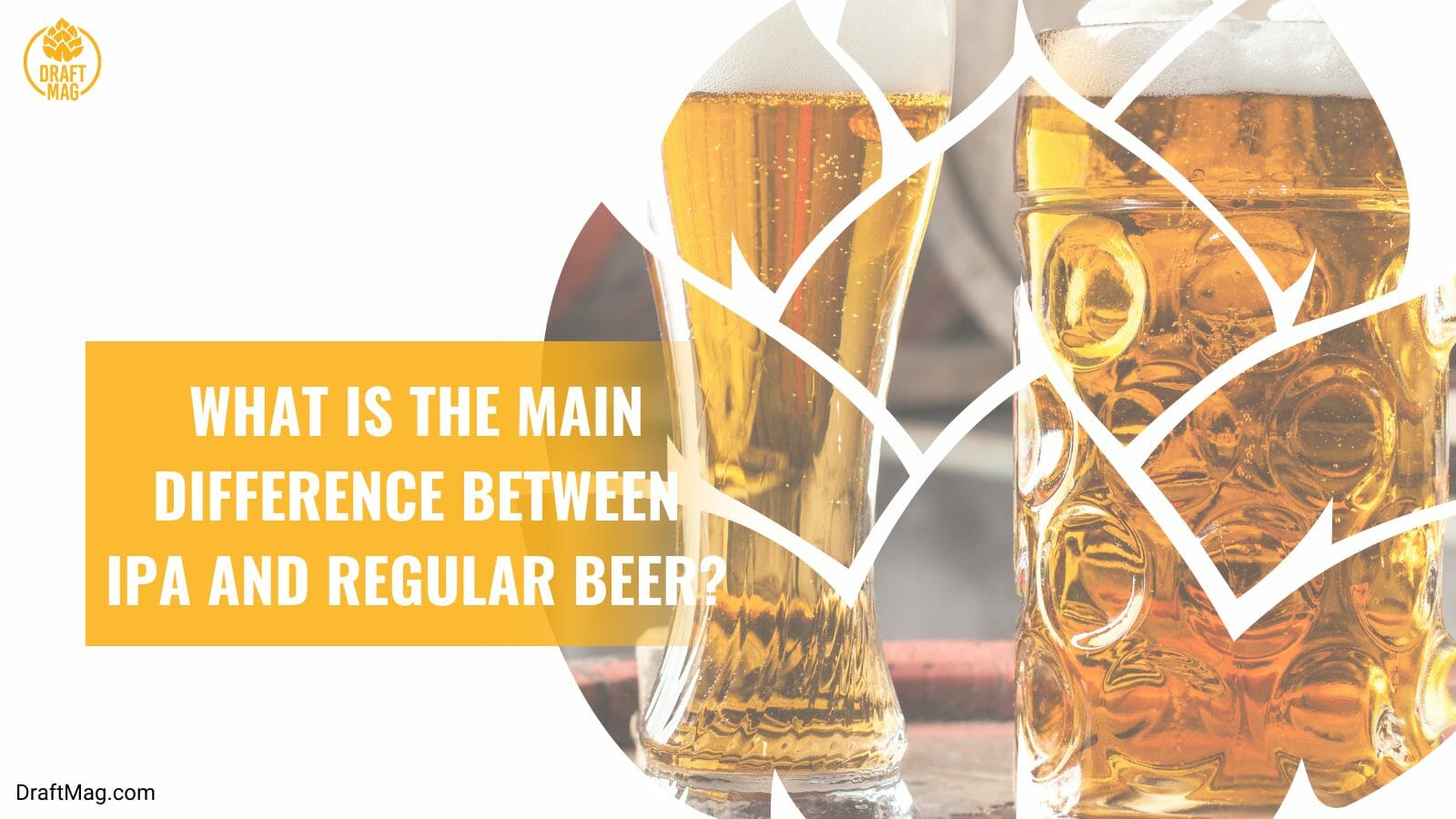 Differences of ipa and regular beer