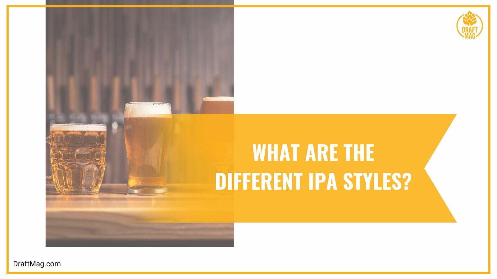 Different ipa beer styles