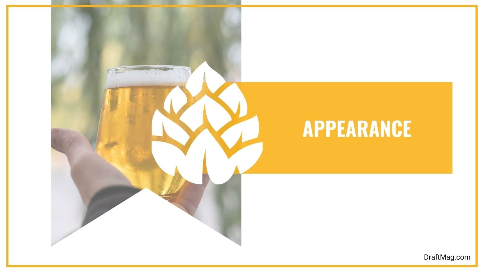 Dogfish Head Mango Smoovie Review Is It Worth Drinking?