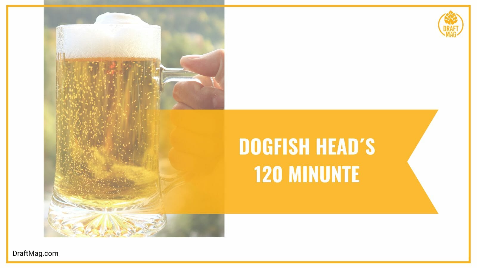 Dogfish head minute