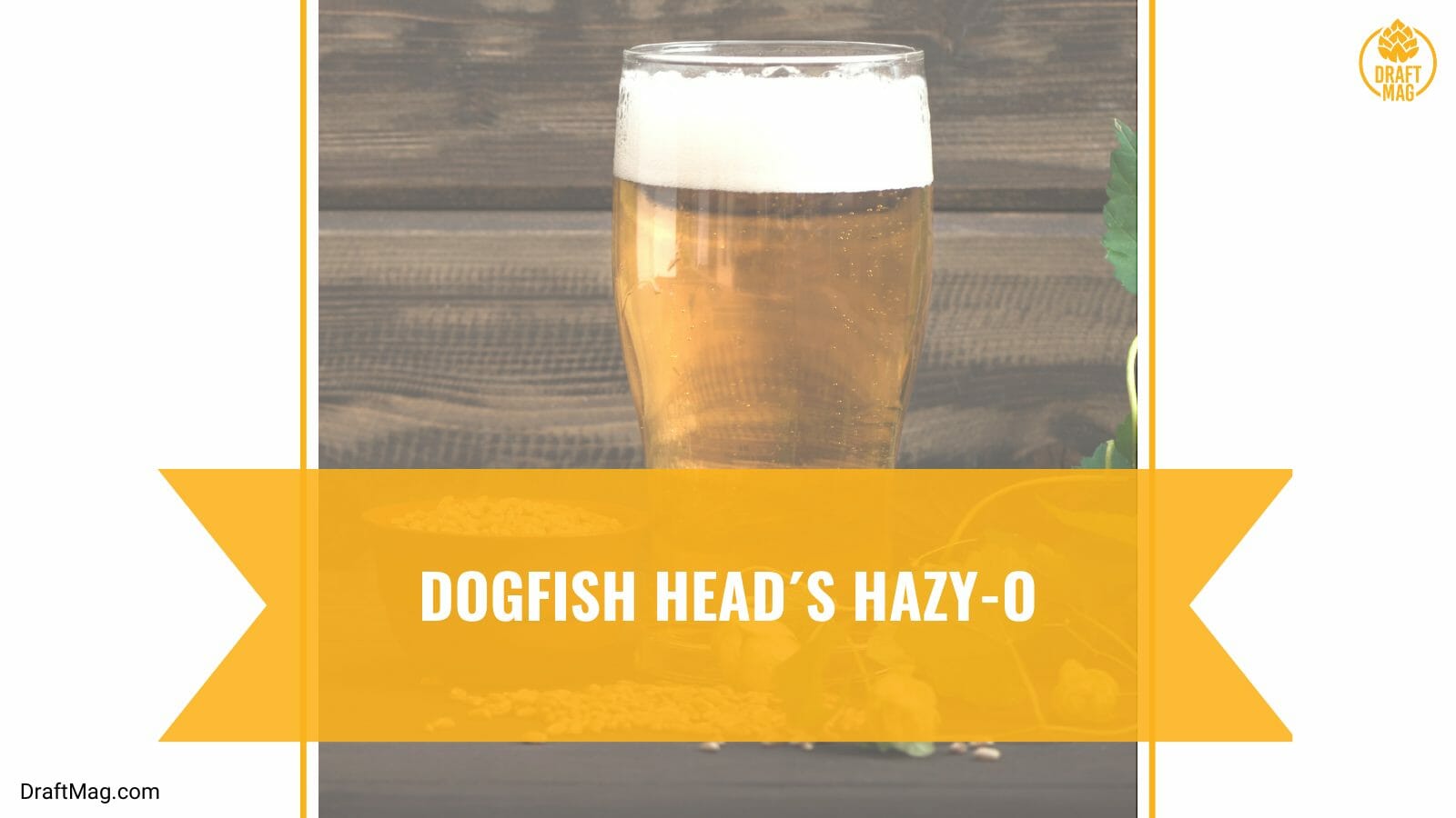Dogfish Head Hazy O