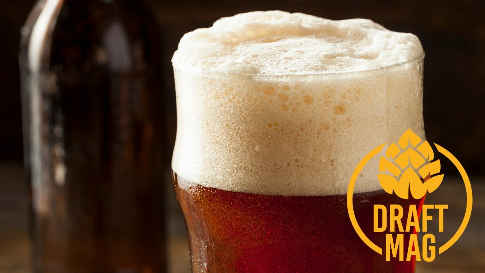 Dragon Stout Review: Is This Popular Jamaican Beer a Hit or Miss?