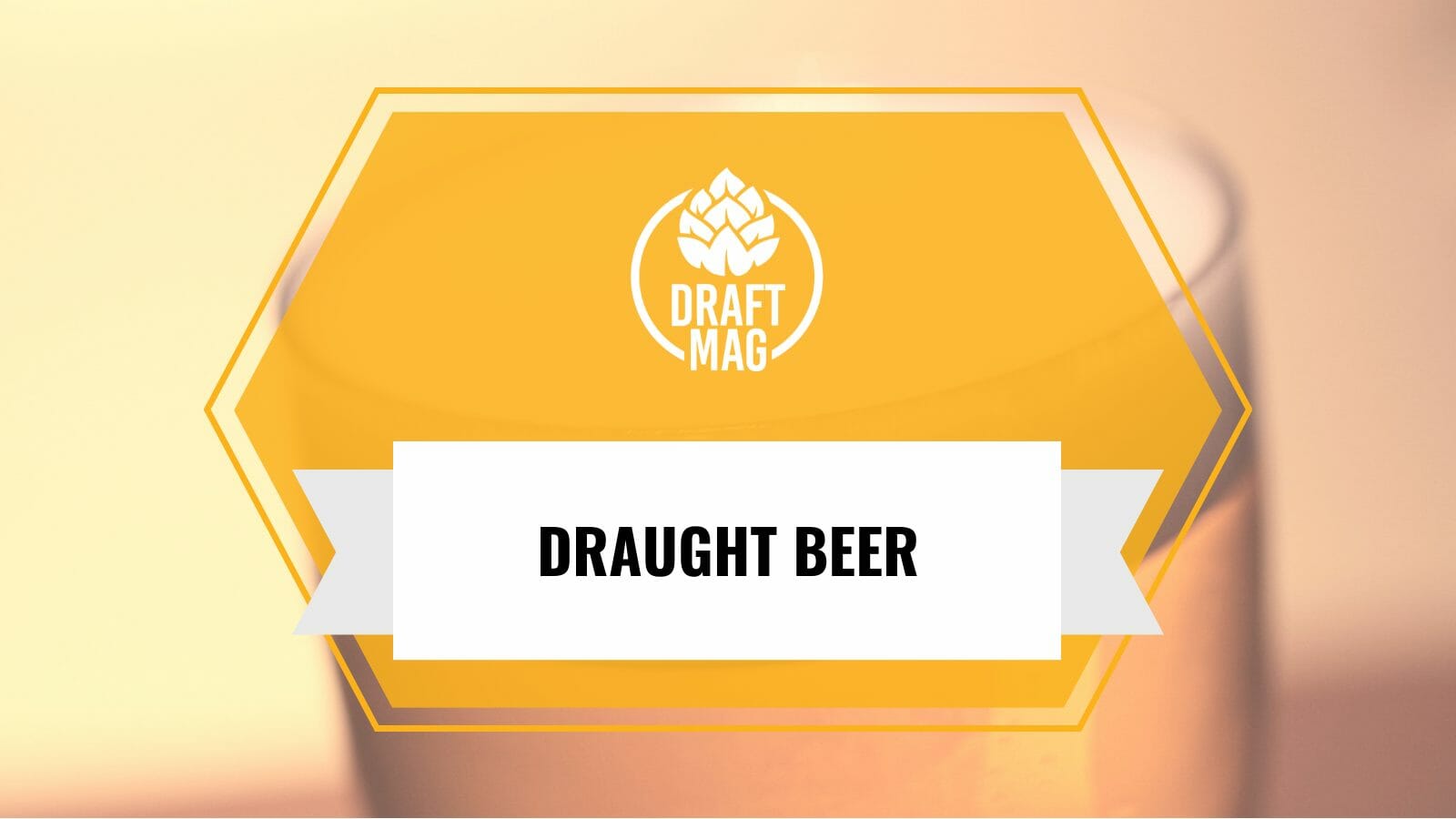 Draught beer guide