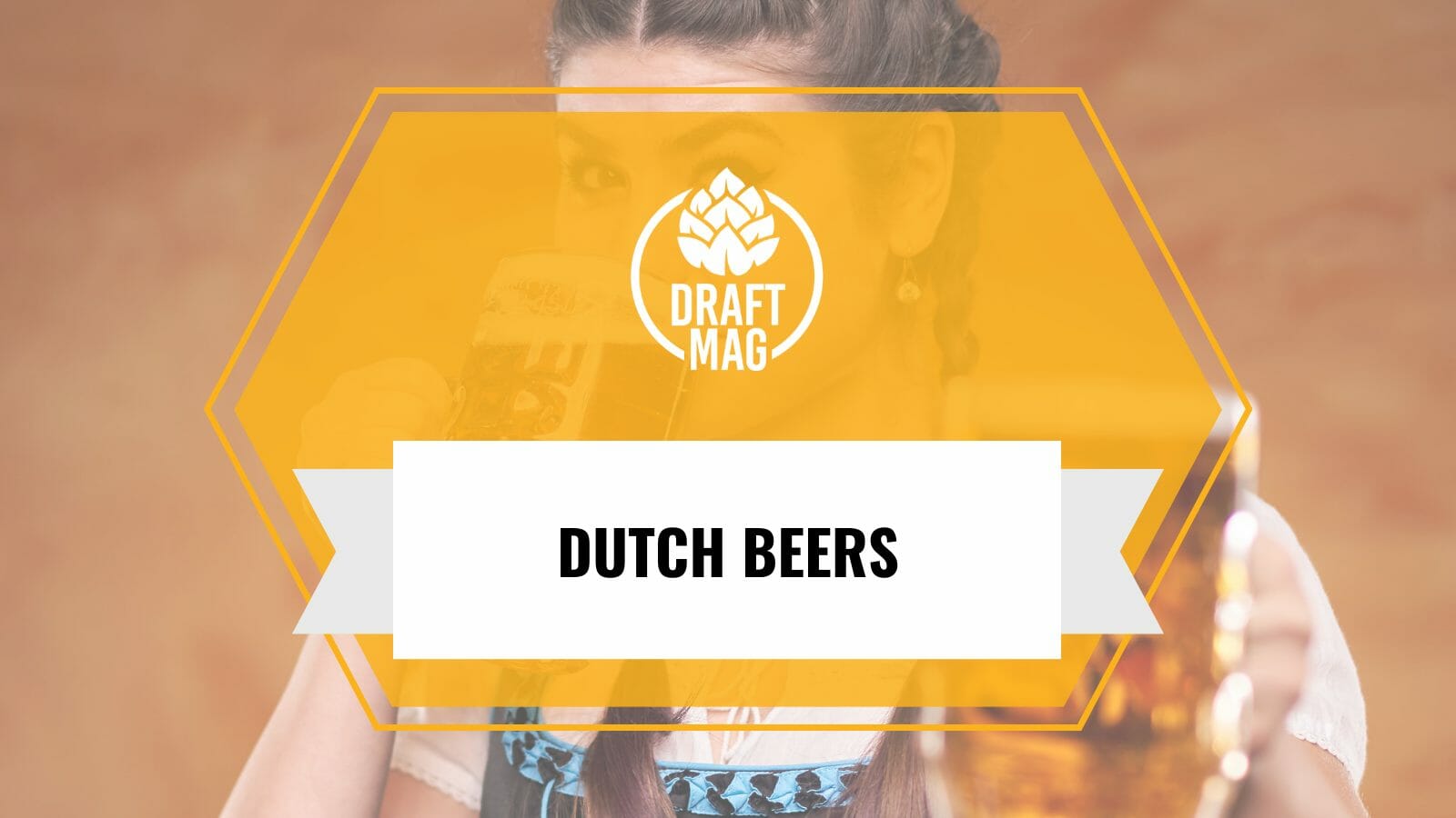 Dutch beer guide