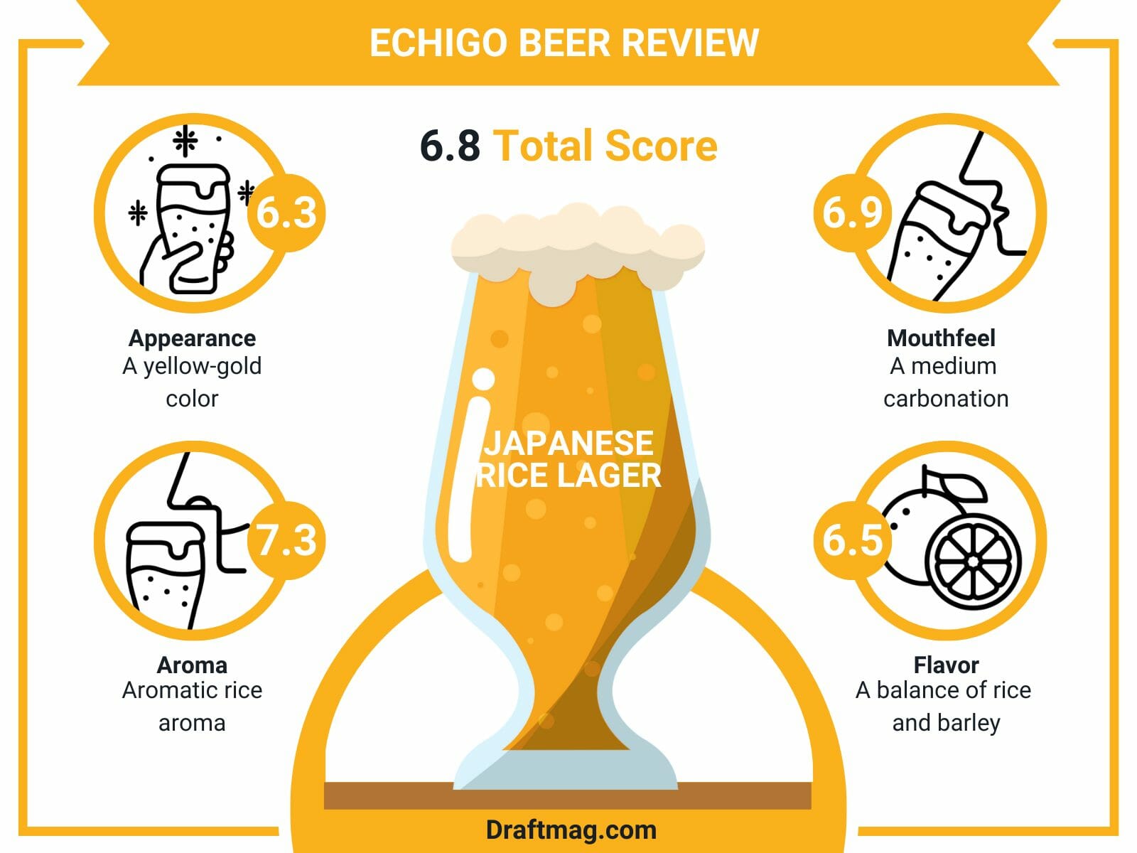 Echigo beer review infographics