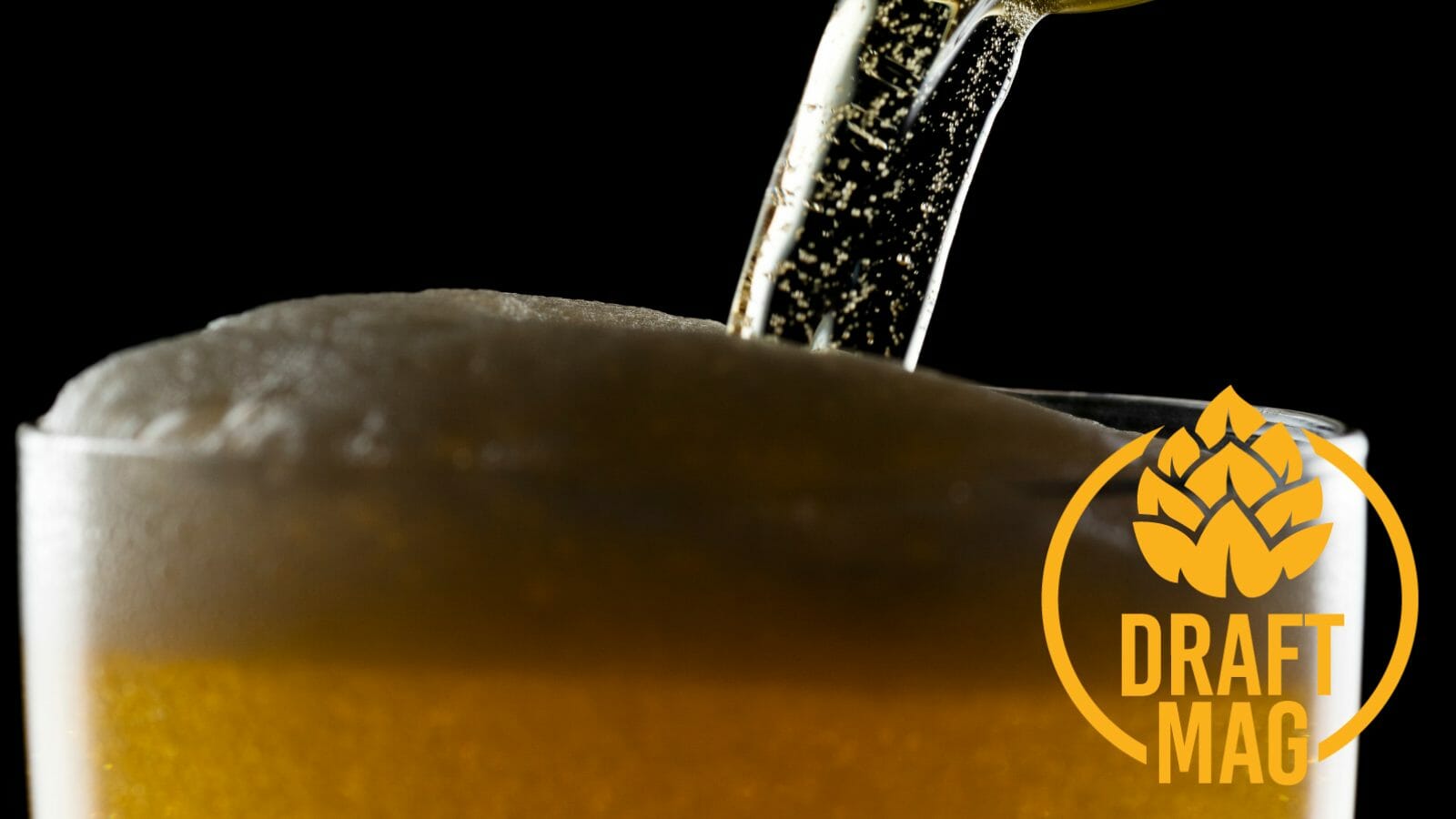 Echigo Beer Review A Likeable Rice Lager With Flavor Depth