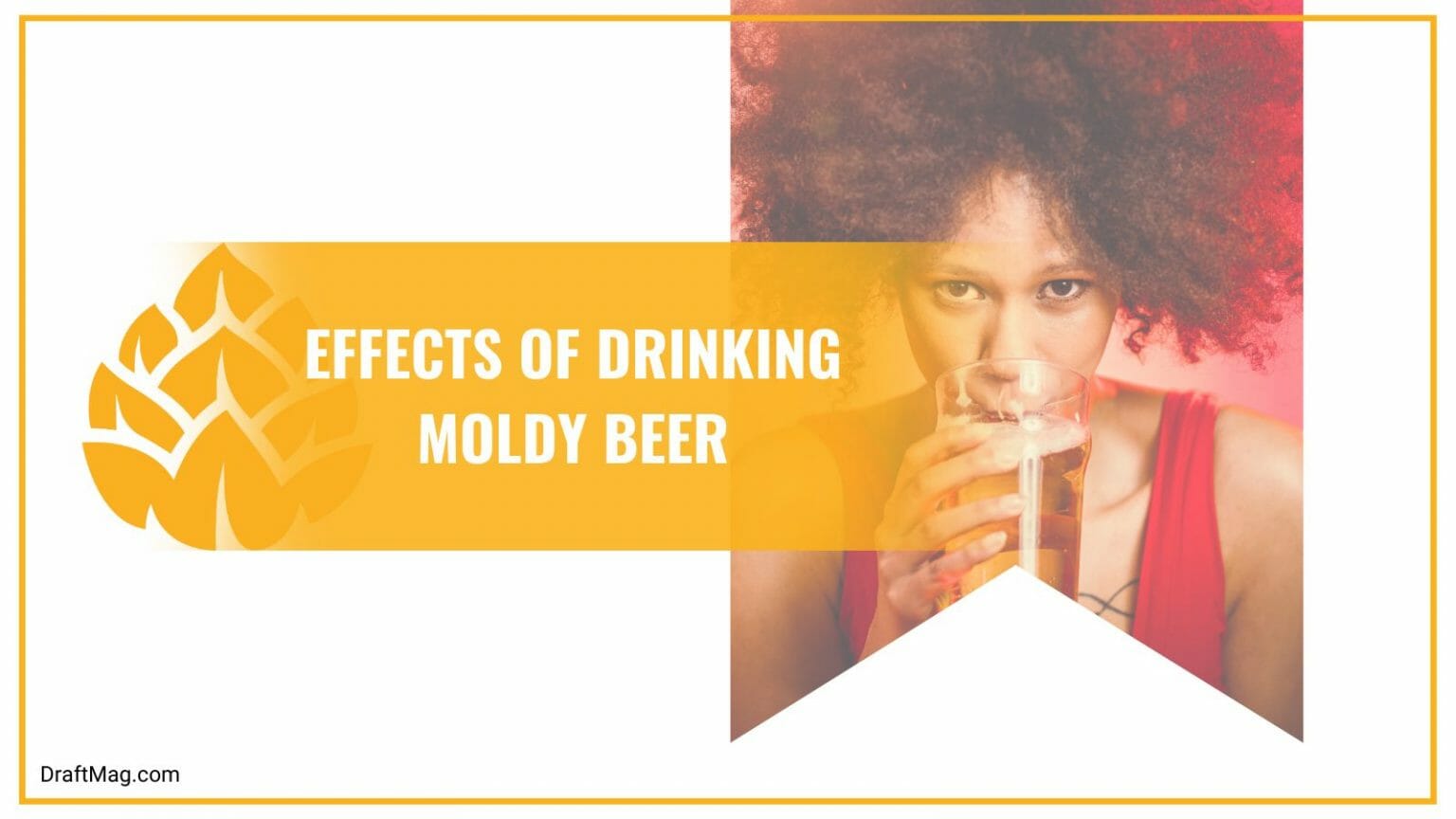 Mold in Beer: A Guide to Identification, Causes, Effects, and More