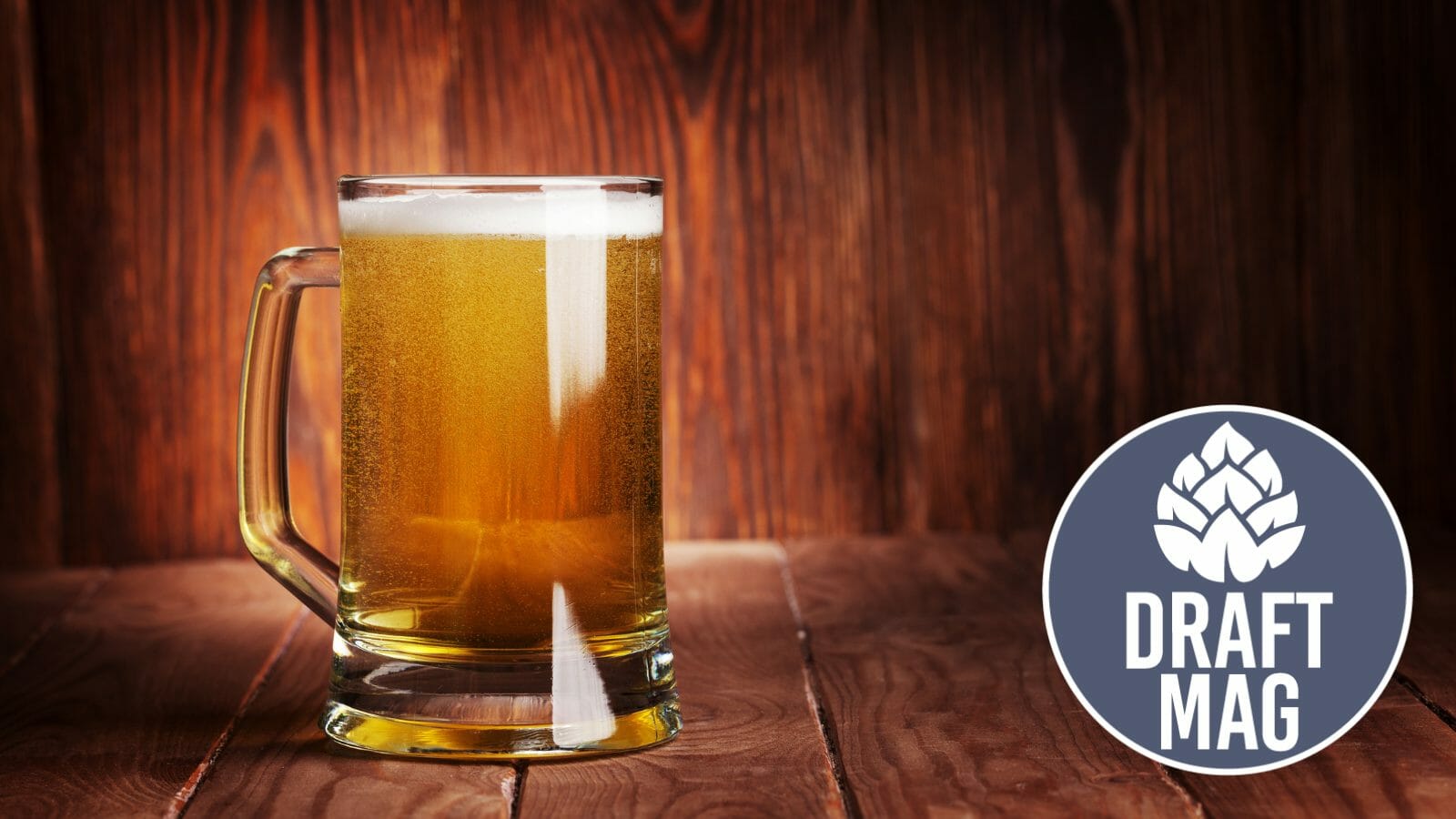 Einstok White Ale Review What Makes This Witbier Stand Out?