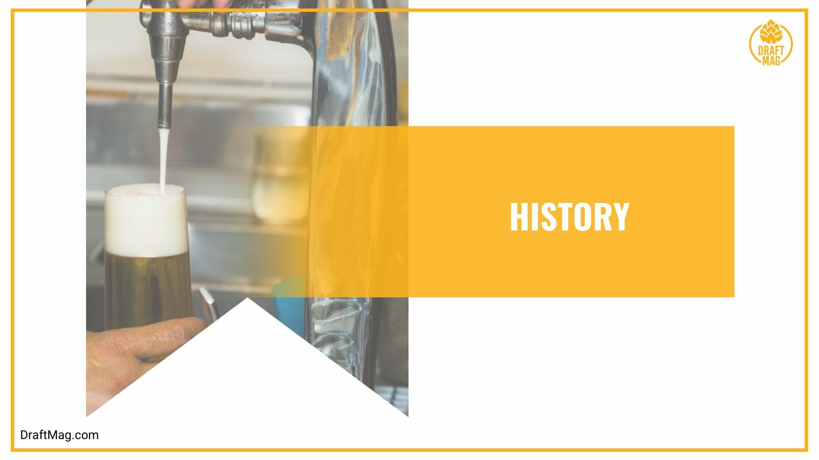 European pale lager history