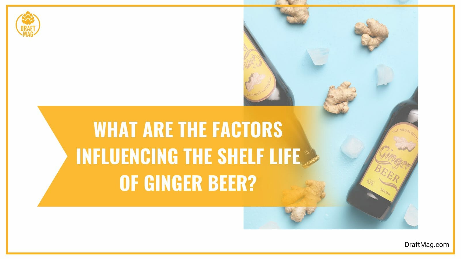 Factors influencing ginger beer