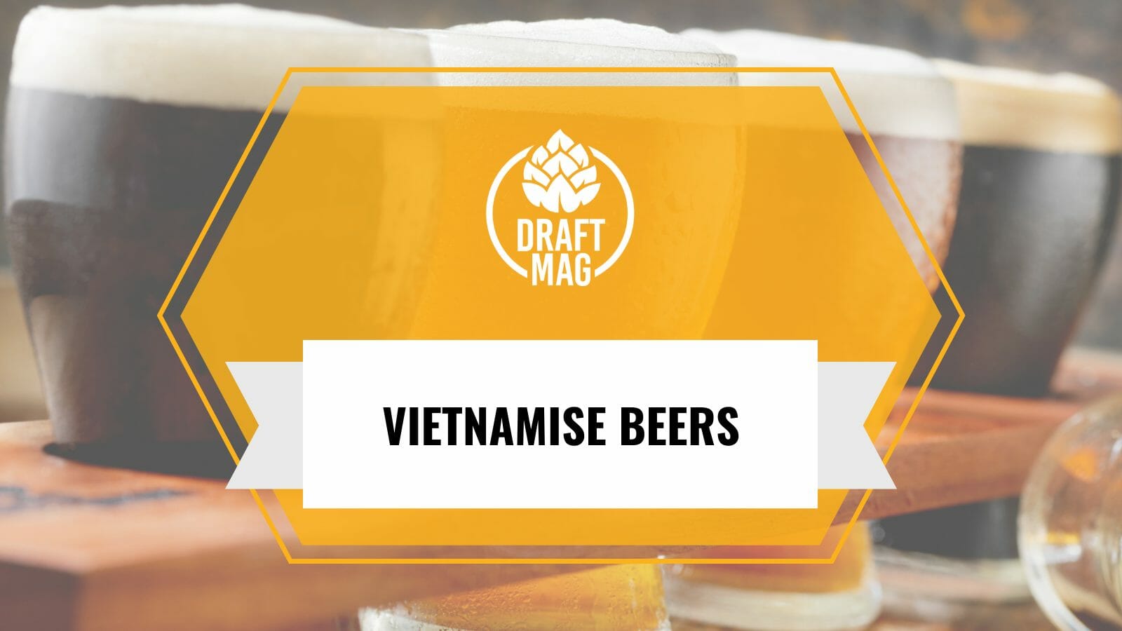 Finest vietnamese beers