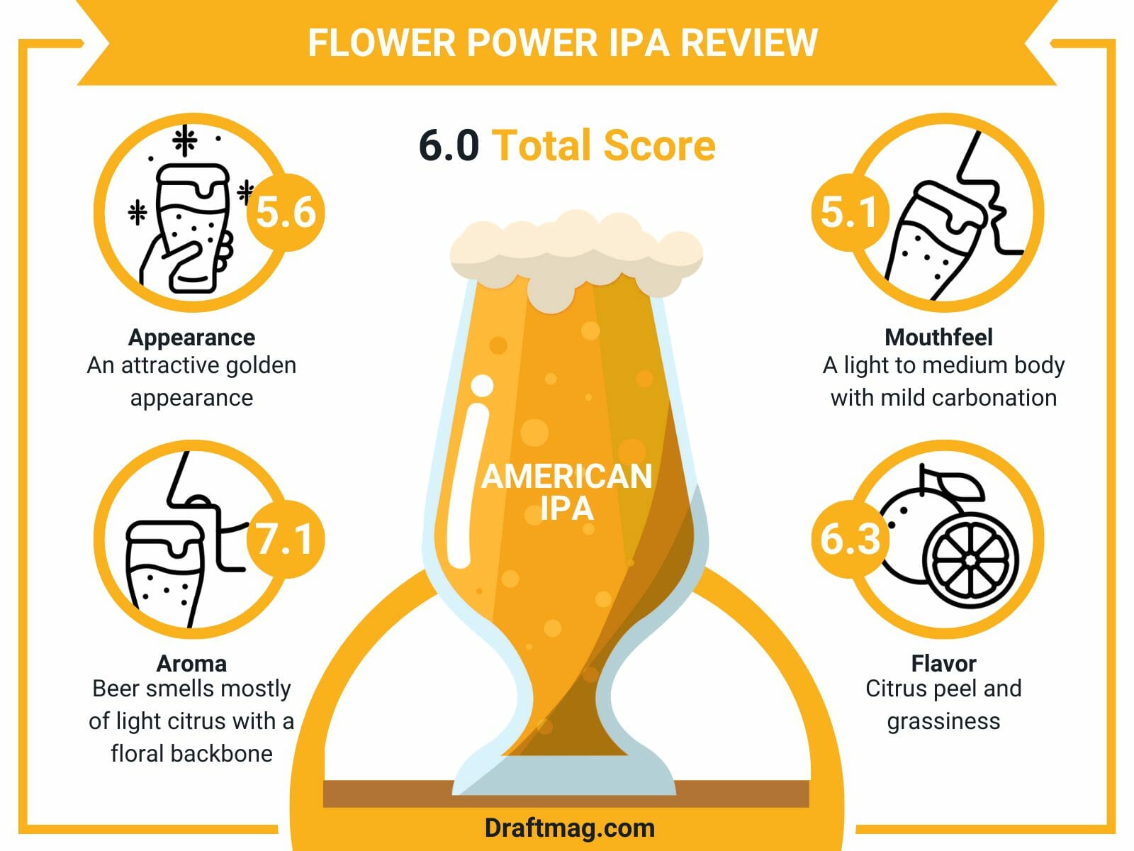 Flower power ipa review infographic