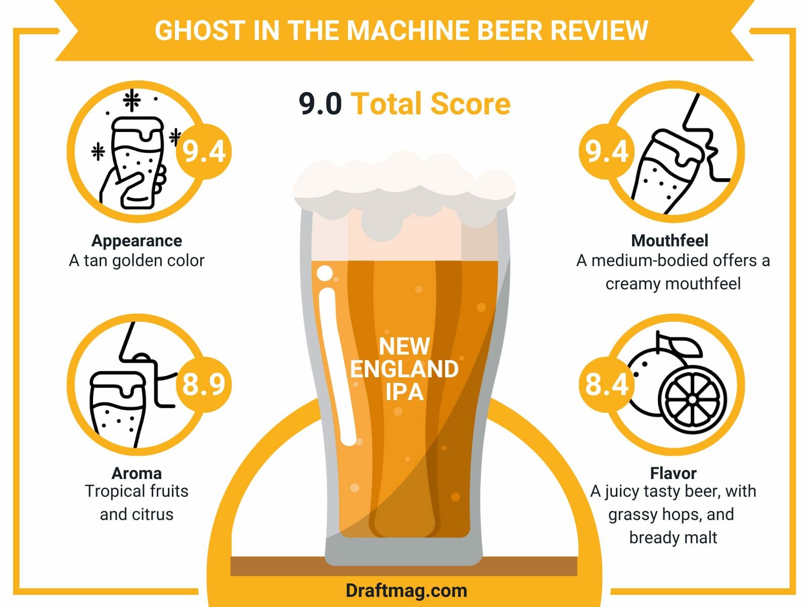 Ghost in the machine beer review infographic