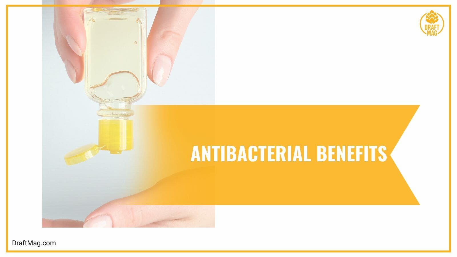 Ginger beer antibacterial benefits