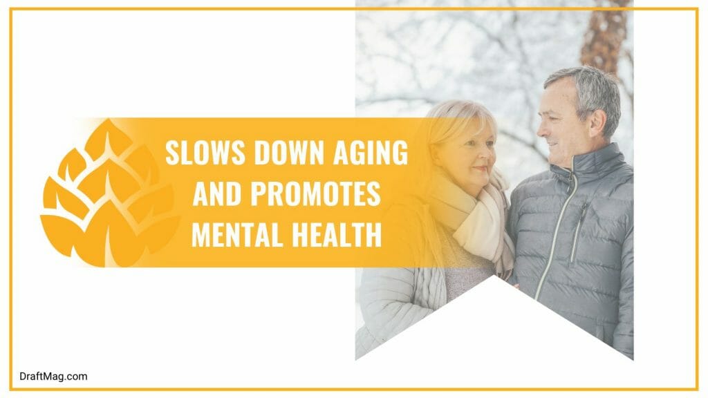 Is Ginger Beer Good for You? Everything You Should Know