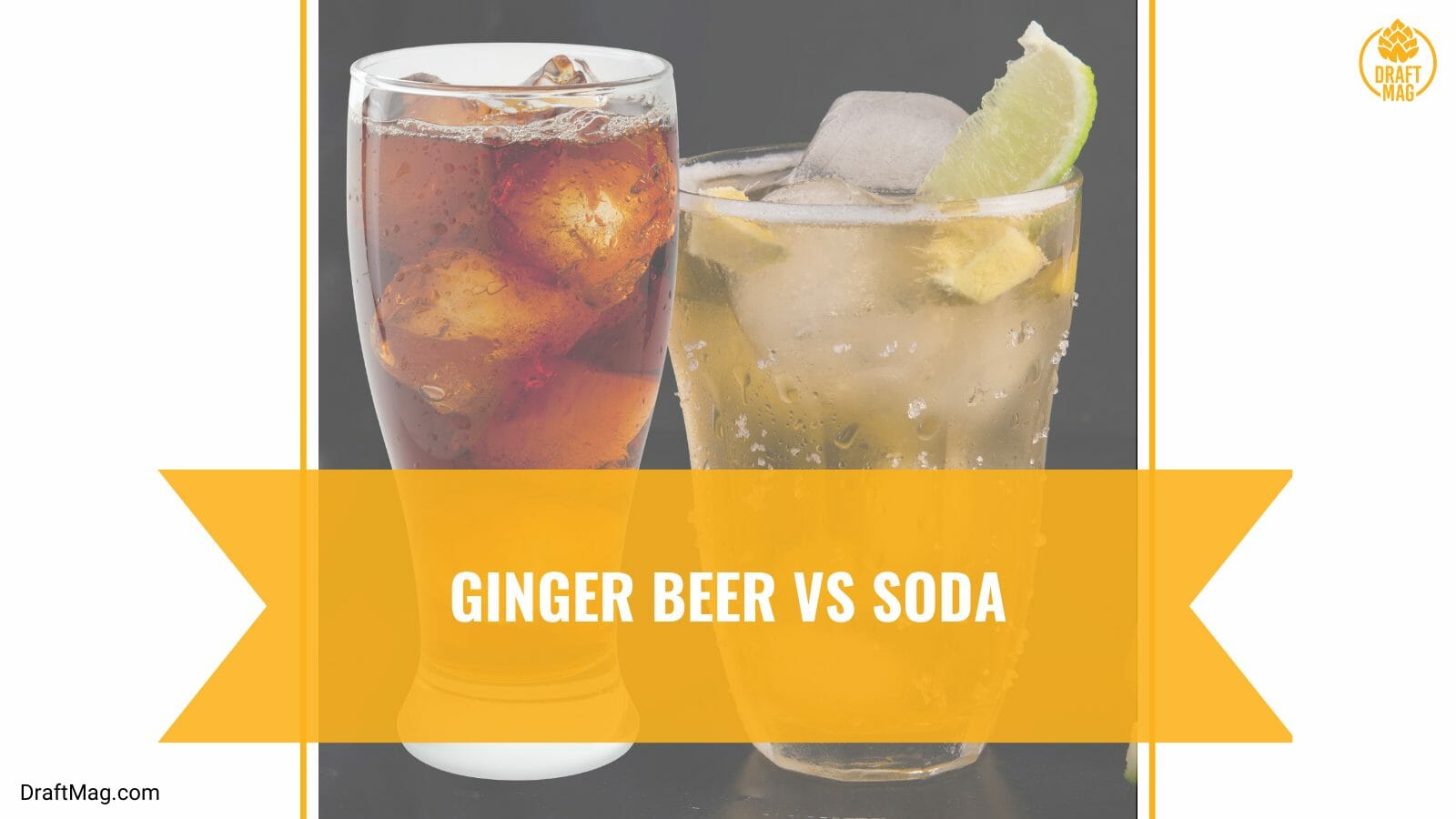 Ginger beer vs soda