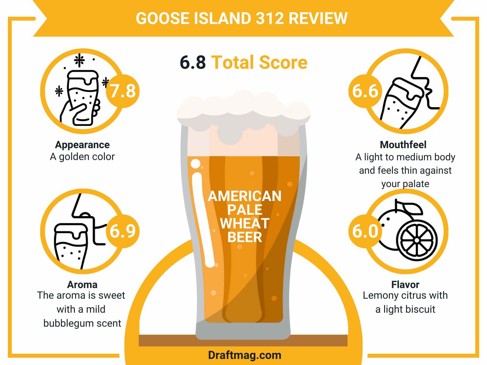 Goose island review infographic