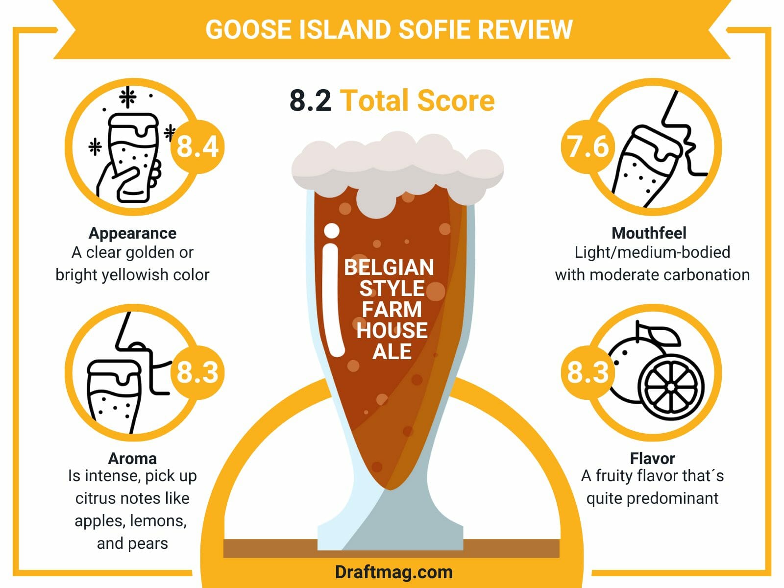 Goose island sofie review infographic