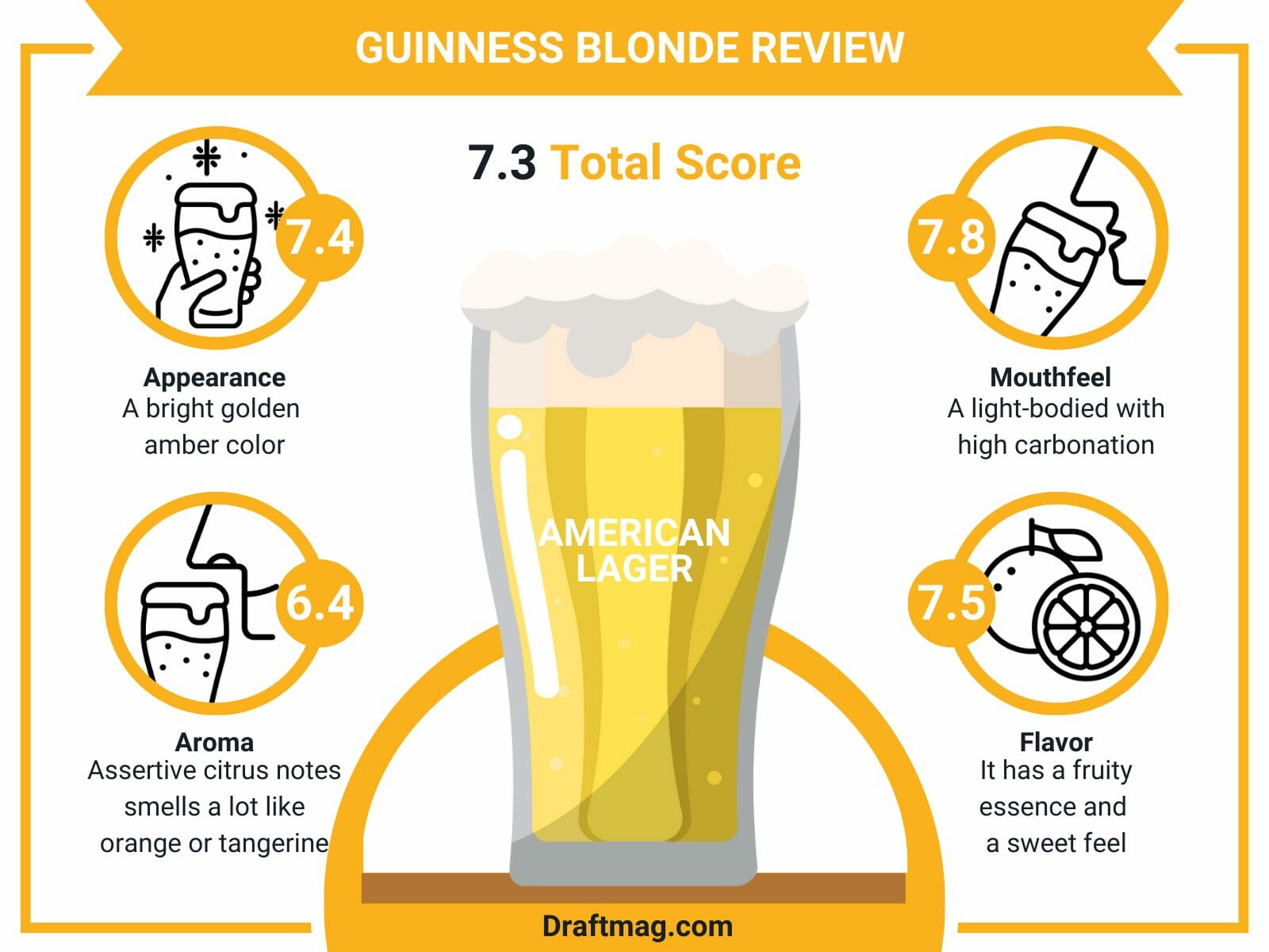 Guinness blonde review infographic