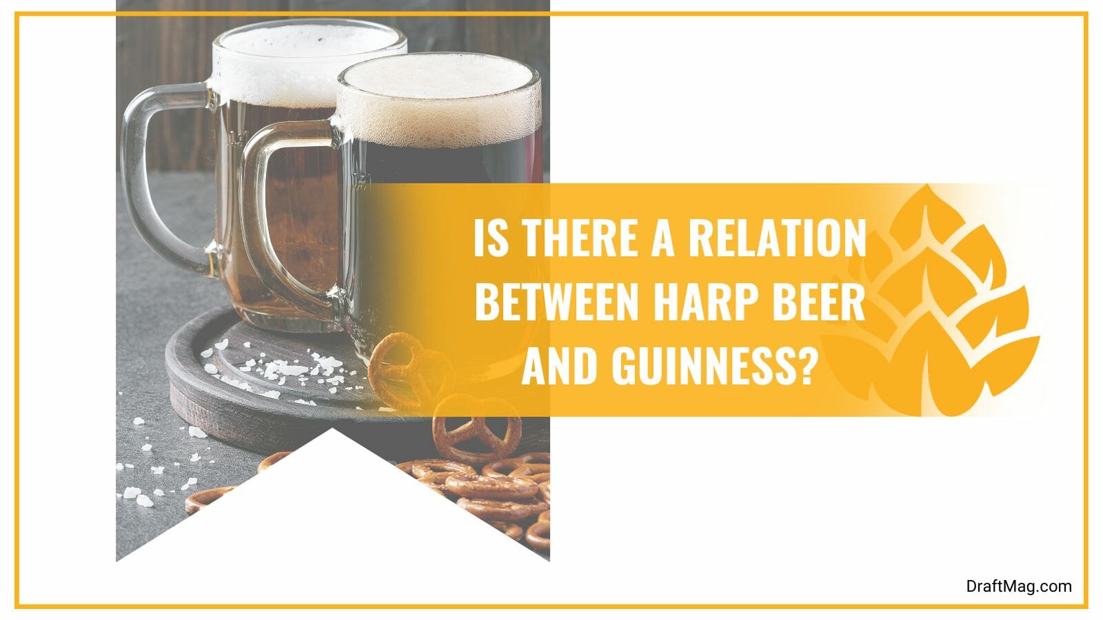 Guinness and harp beer are related