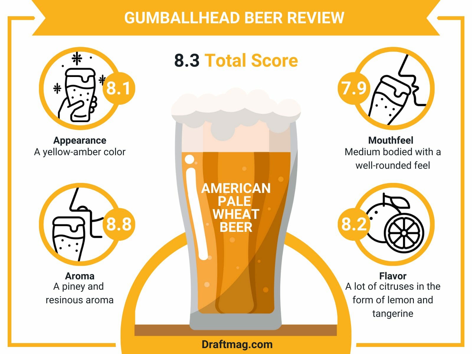 Gumballhead beer review infographic