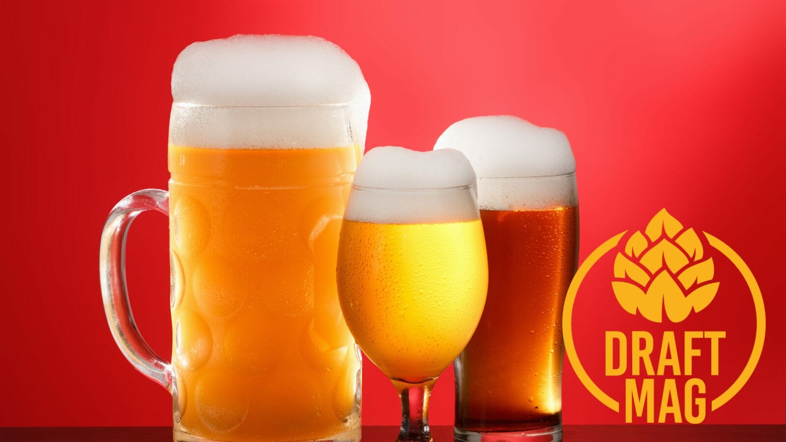 Half Acre Daisy Cutter Review Beer Experts Examine This American Ale