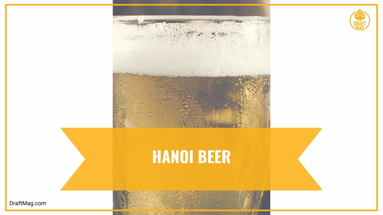 Hanoi beer with honey aroma