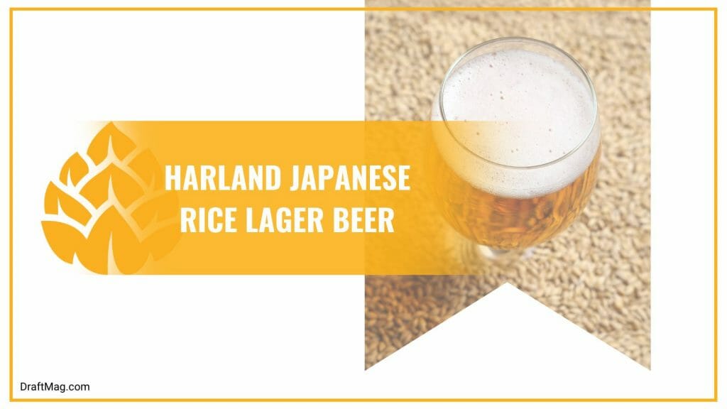 Rice Beer Brands 13 of the Bestselling Rice Brews in the Market