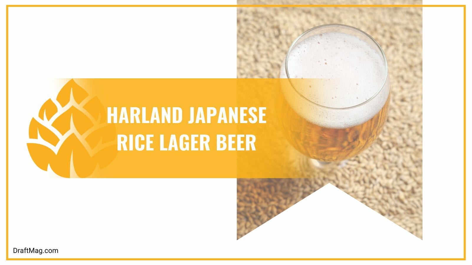 Harland japanese rice lager beer malty and bready