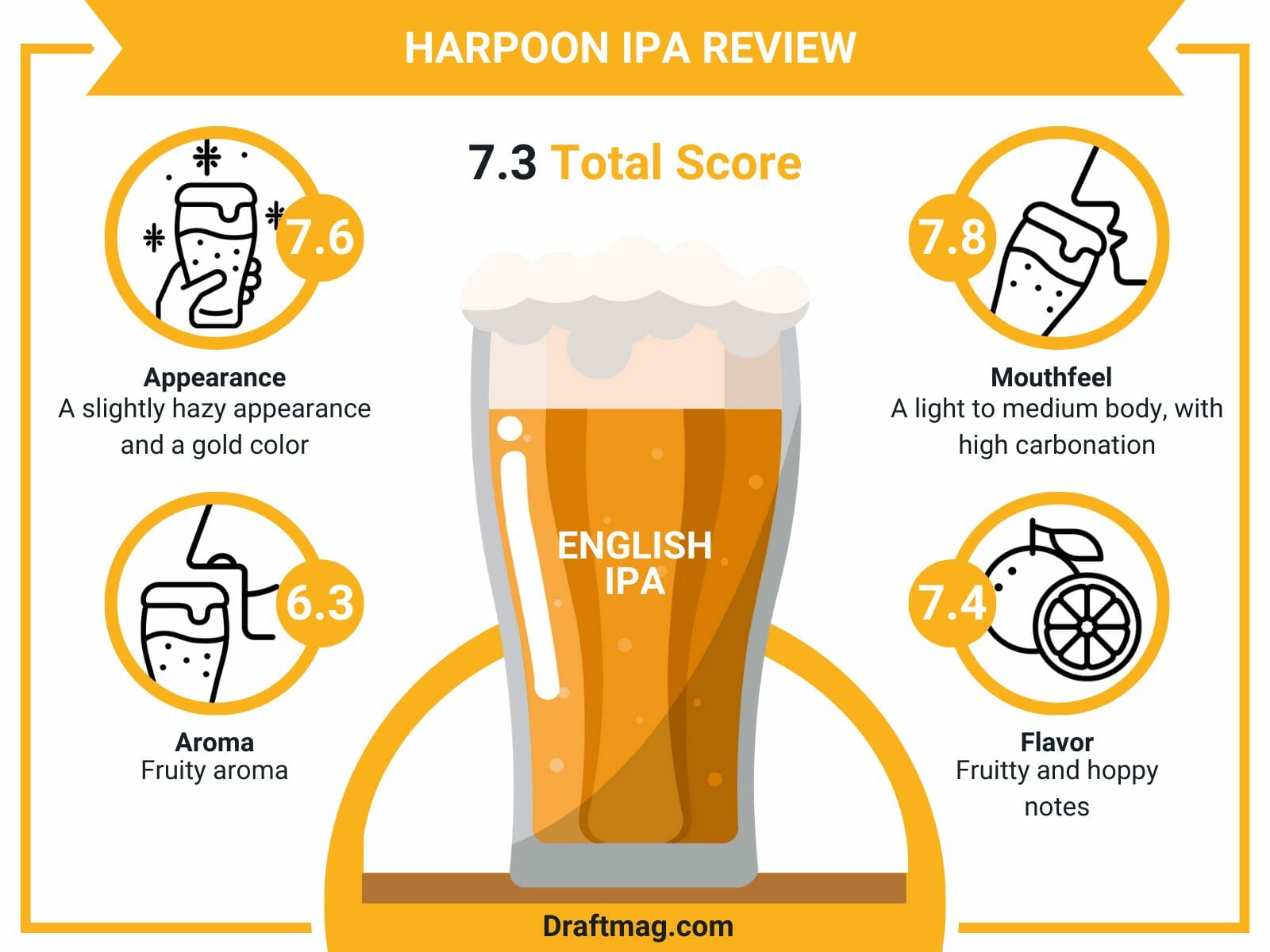 Harpoon ipa review infographic