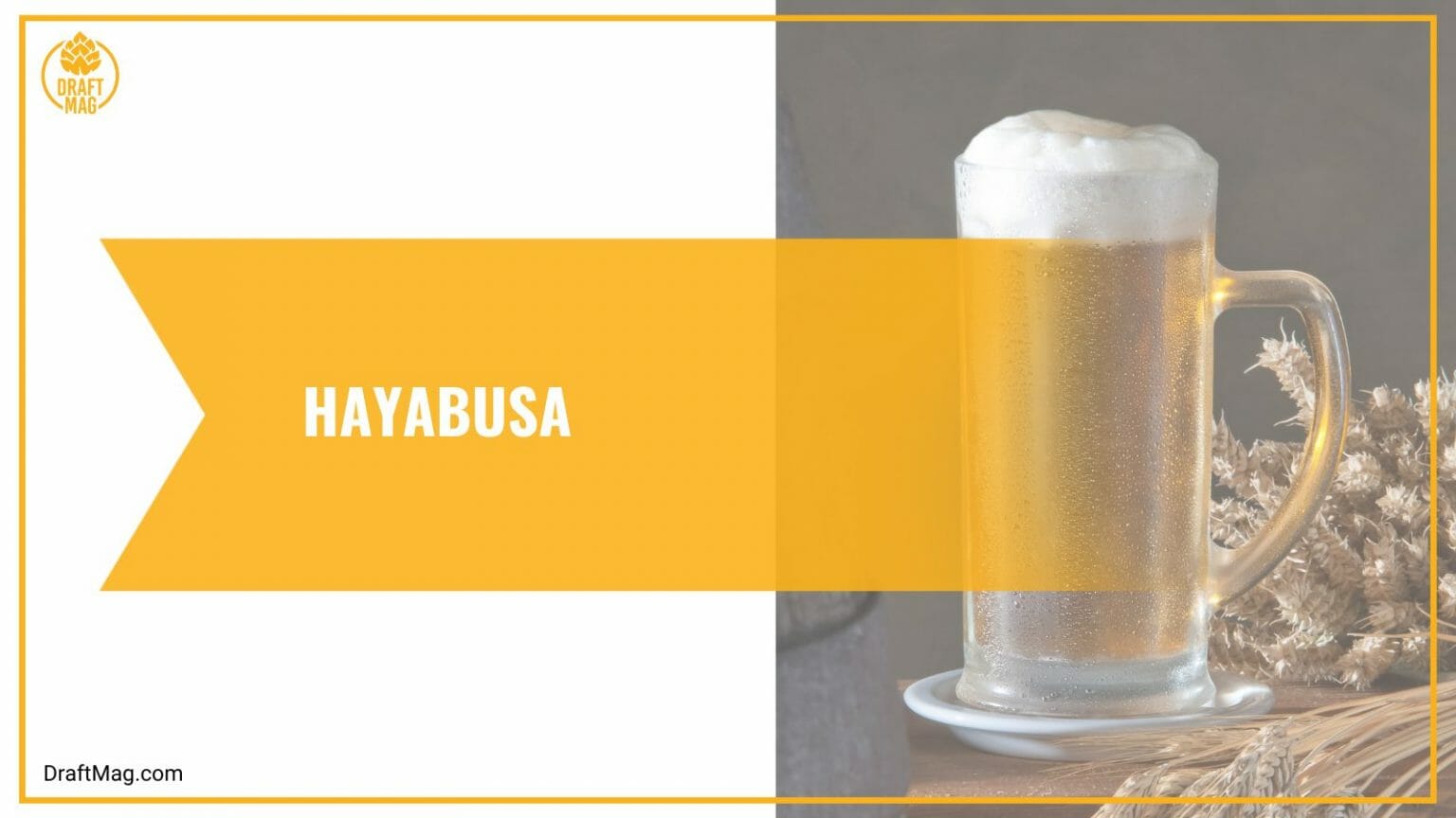 Rice Beer Brands 13 of the Bestselling Rice Brews in the Market