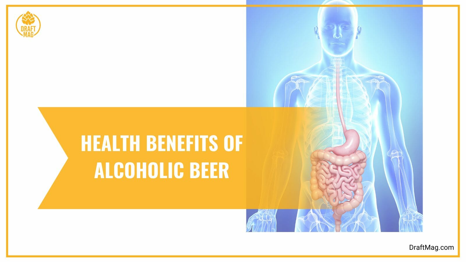 Health benefits of alcoholic beer