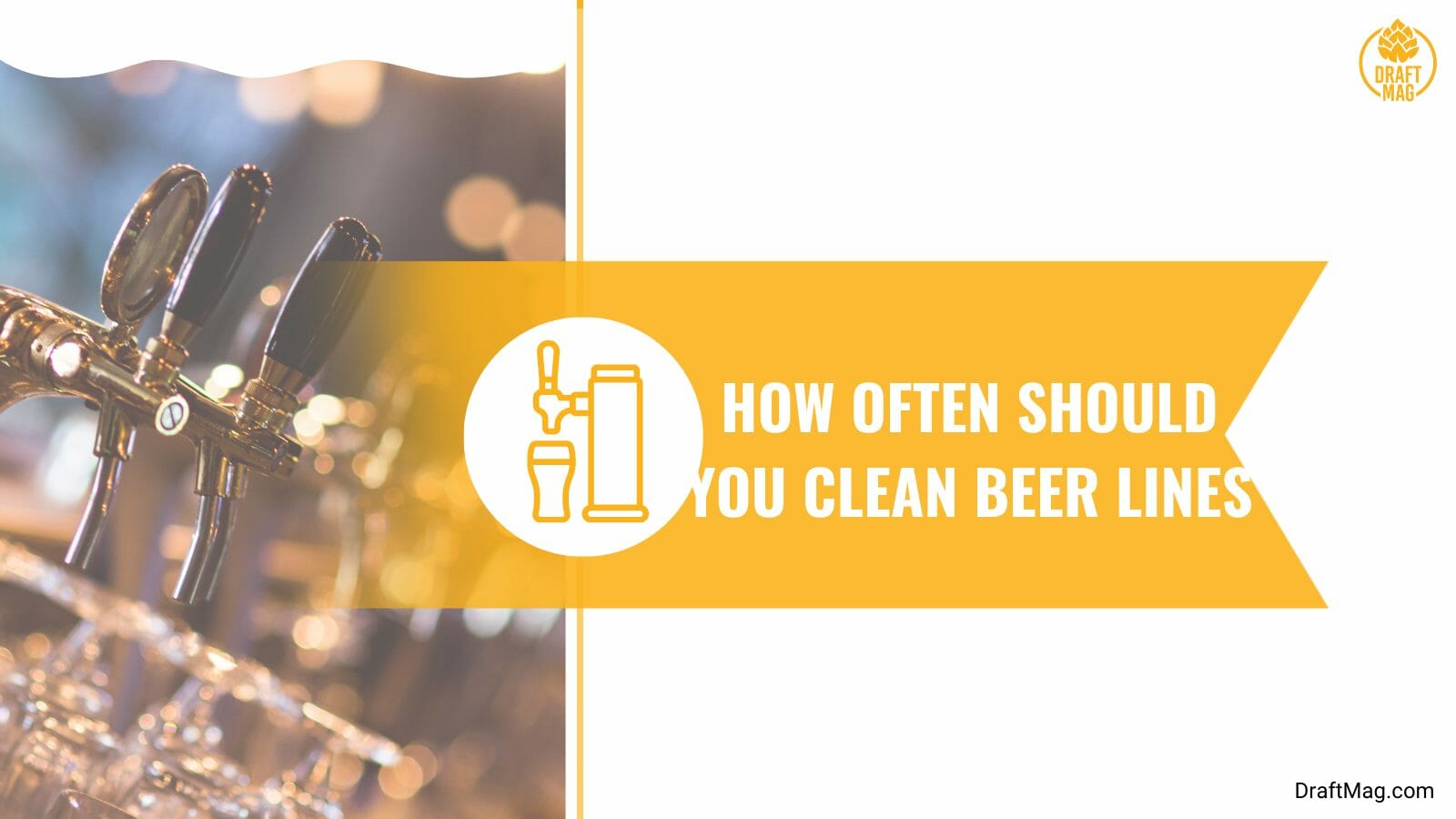 How often to clean beer lines