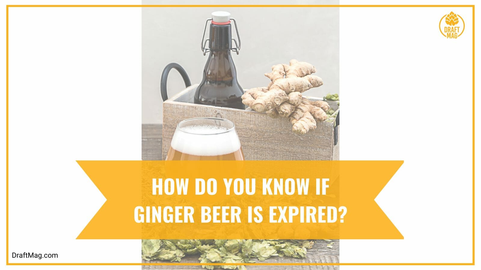 How to know if ginger beer expired