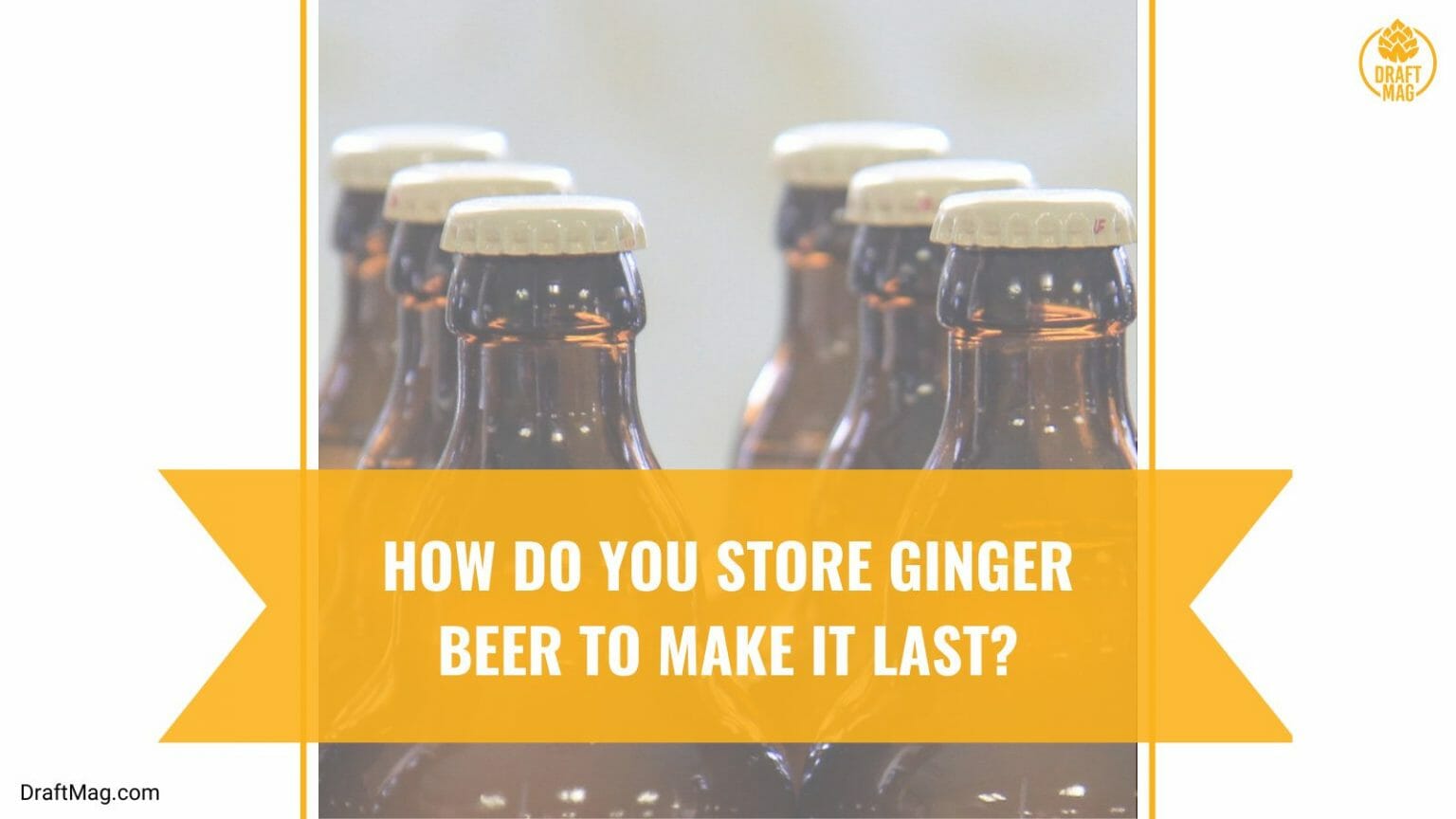 How Long Does Ginger Beer Last? Shelf Life and Proper Storage