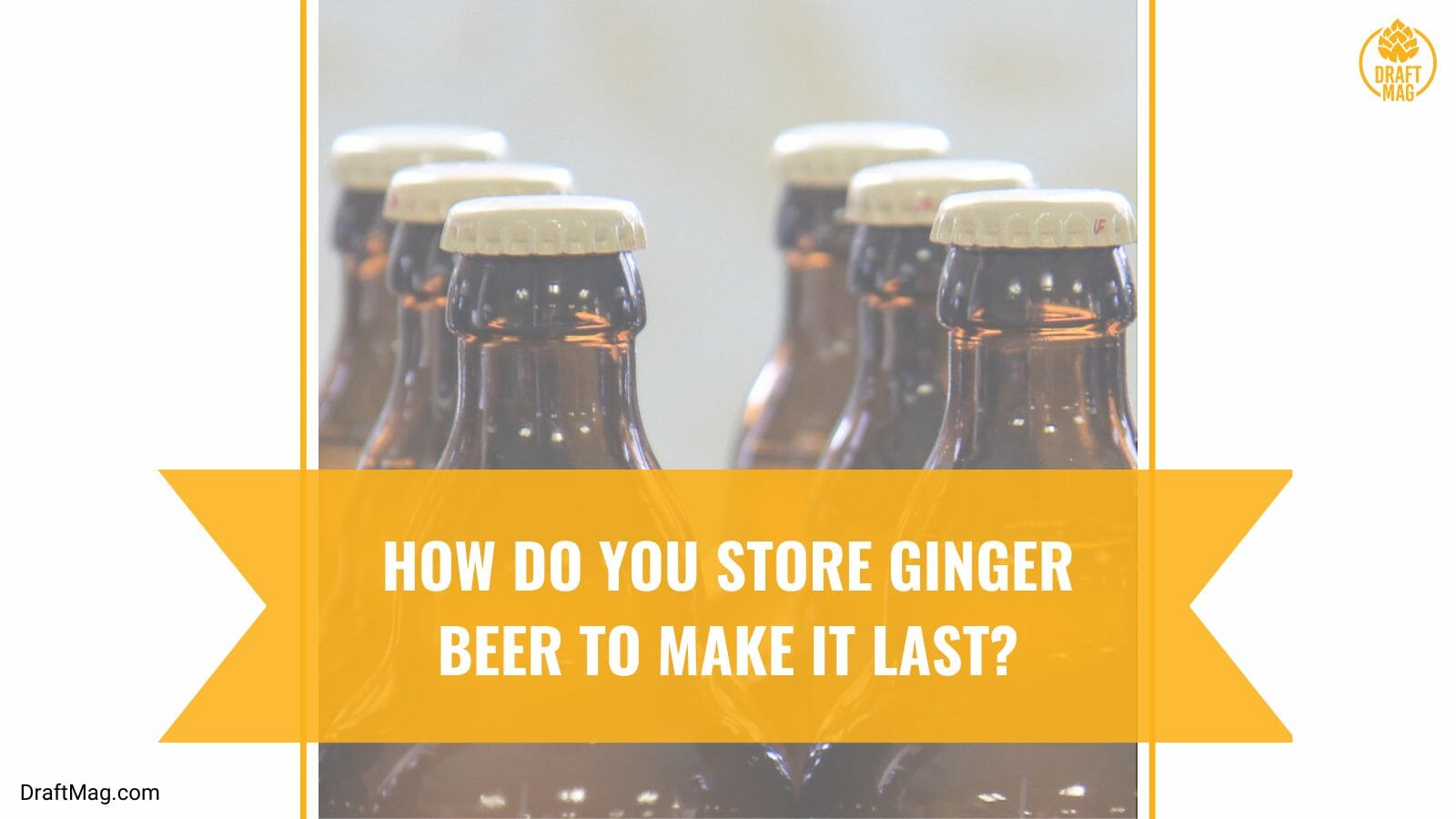 How to storage ginger beer