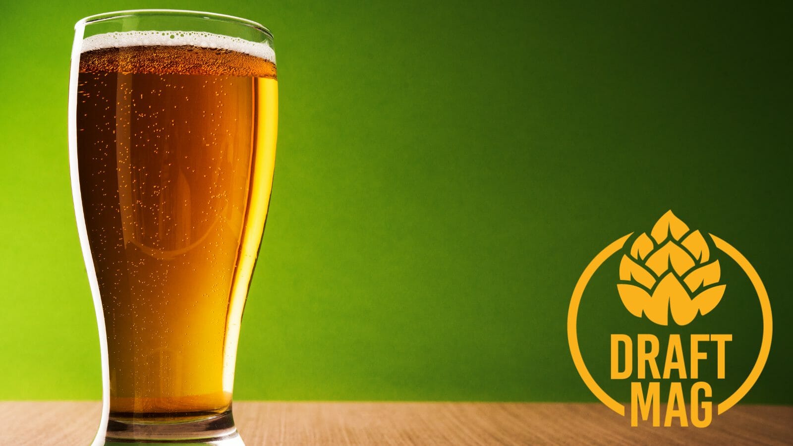 Icehouse Beer Review A Look at America’s First Domestic Ice Beer