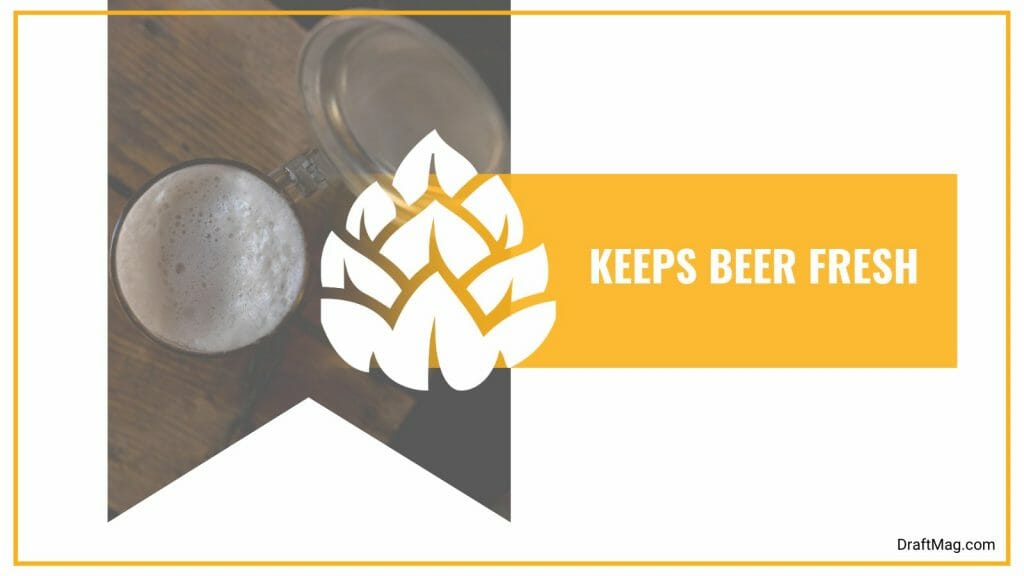 Why Do Beer Steins Have Lids? Solving the Mystery of German Mugs