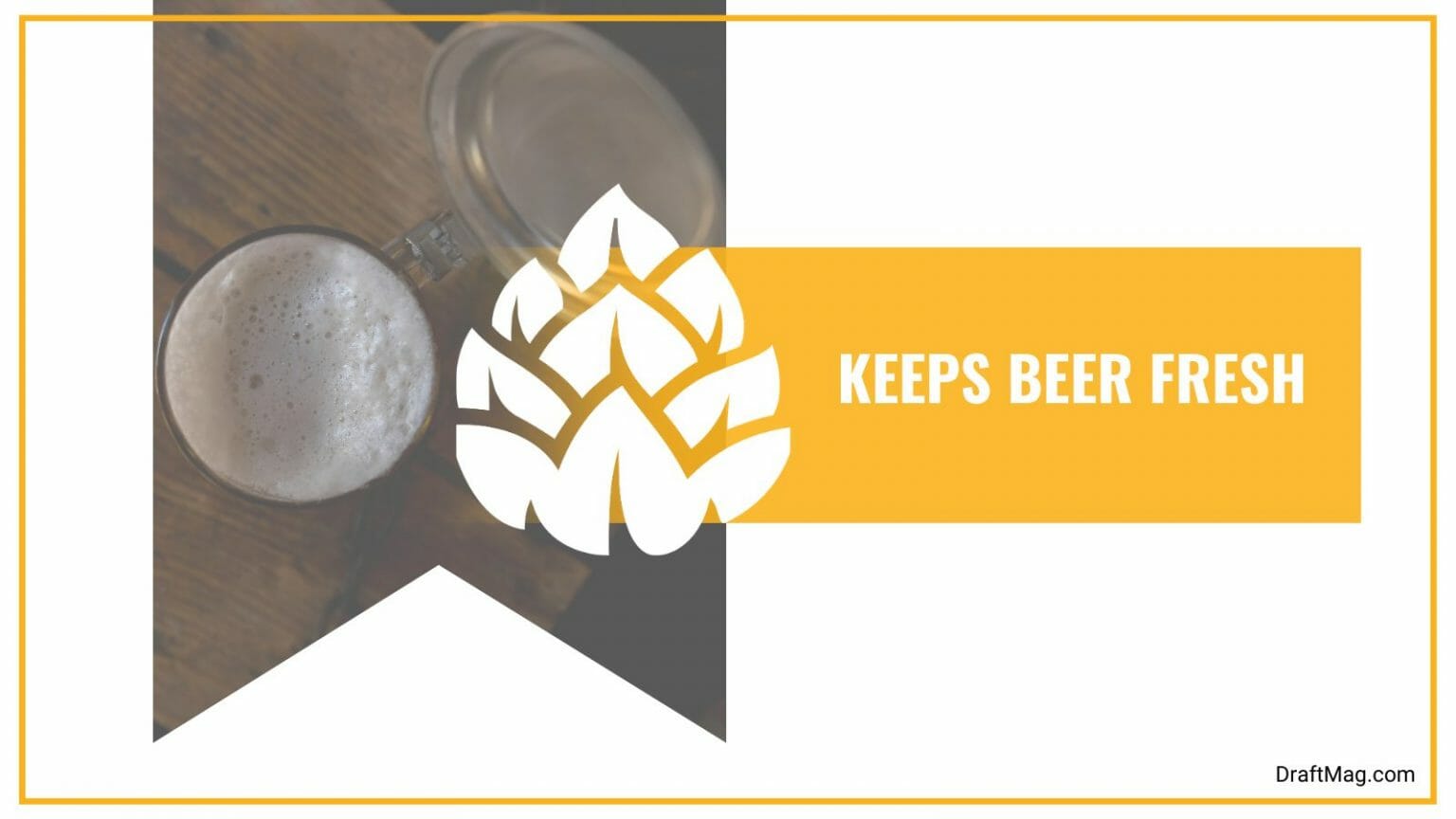 Why Do Beer Steins Have Lids? Solving the Mystery of German Mugs