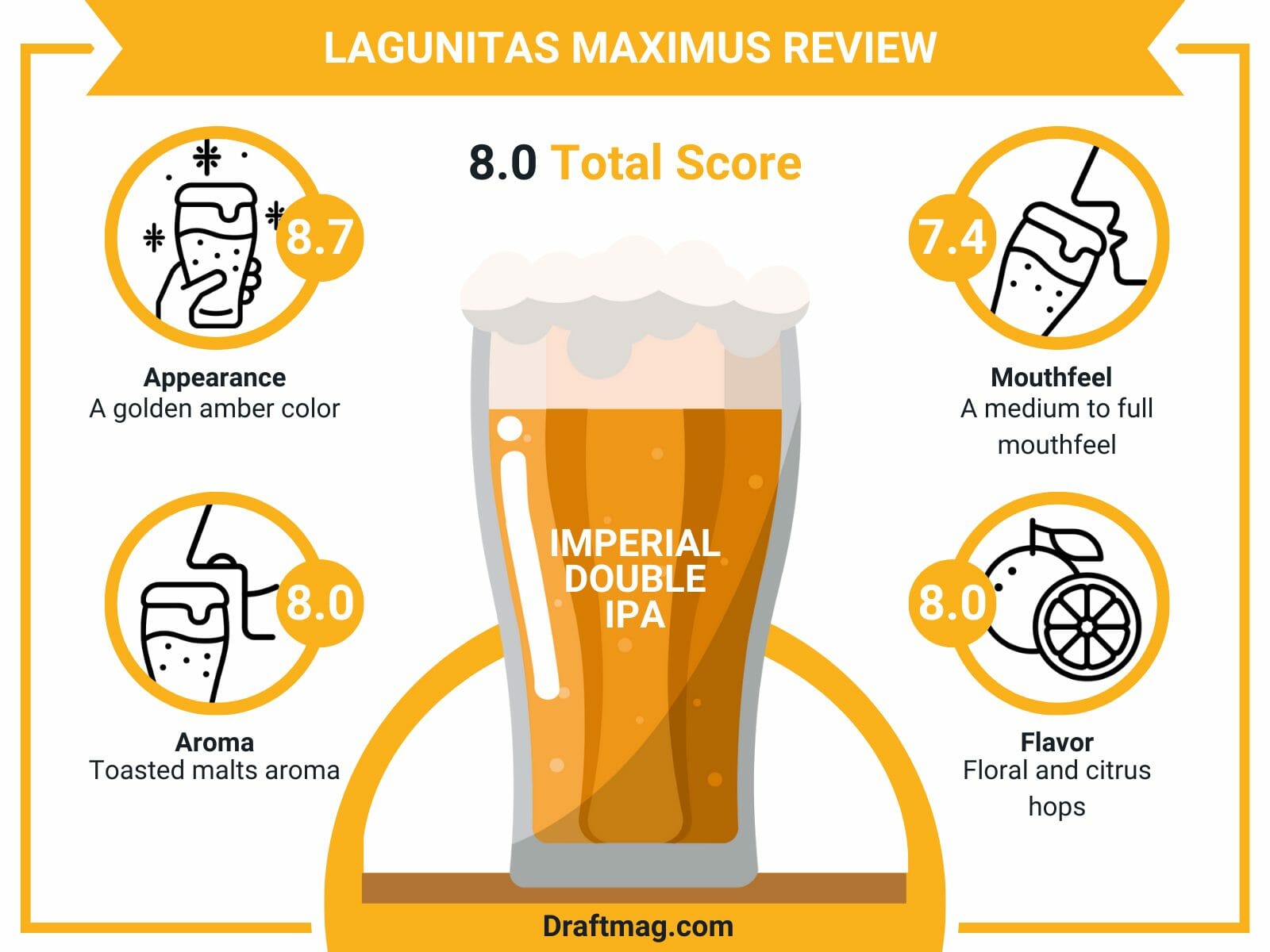 Lagunitas maximus review infographic