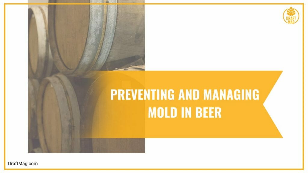 Mold in Beer: A Guide to Identification, Causes, Effects, and More