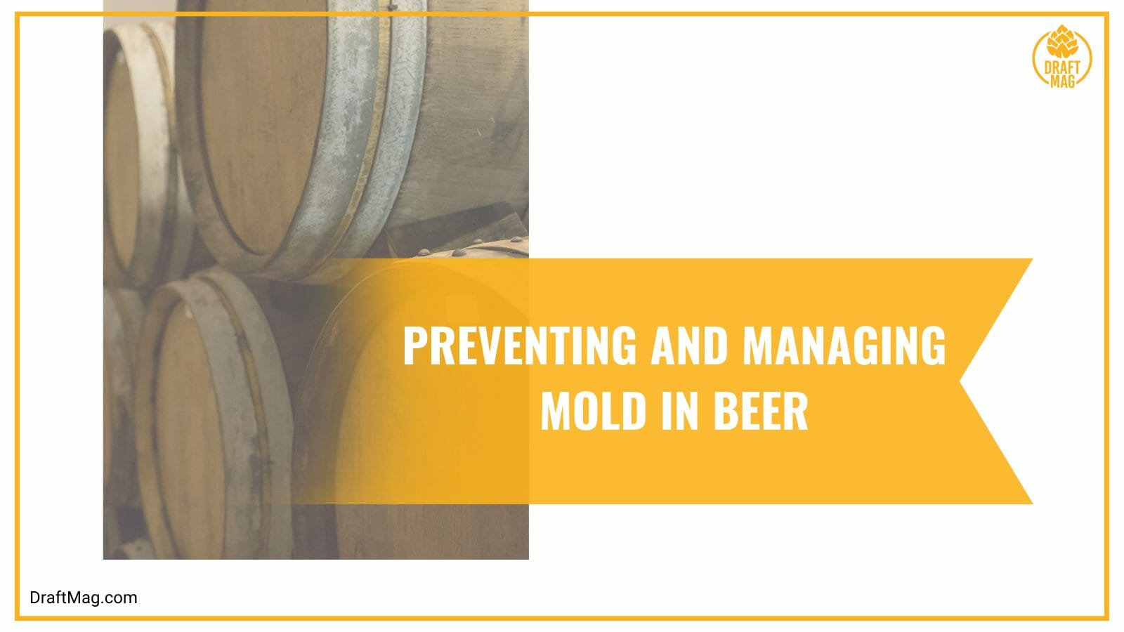 Managing mold in beer