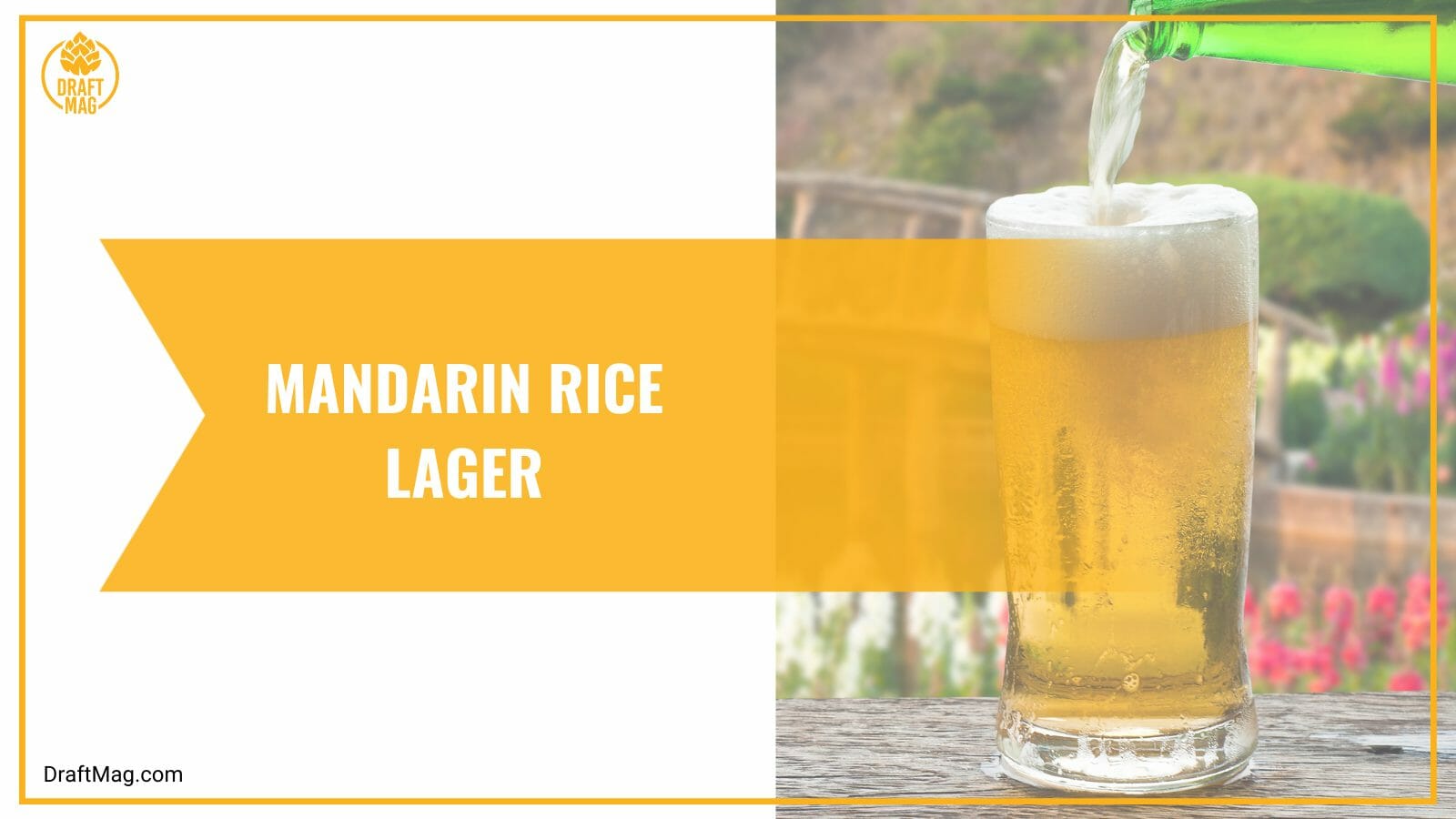Mandarin Rice Lager with Coconut